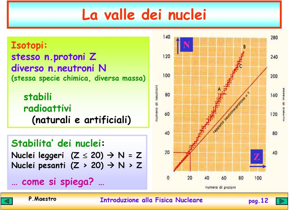 (naturali e artificiali) Stabilita dei nuclei: Nuclei leggeri (Z 20) N = Z
