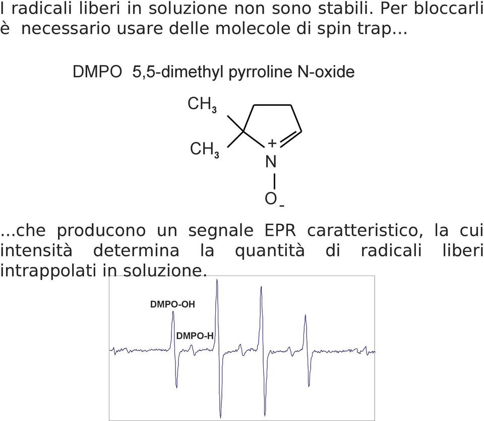 .. DMPO 5,5-dimethyl pyrroline N-oxide CH 3 CH 3 + N.