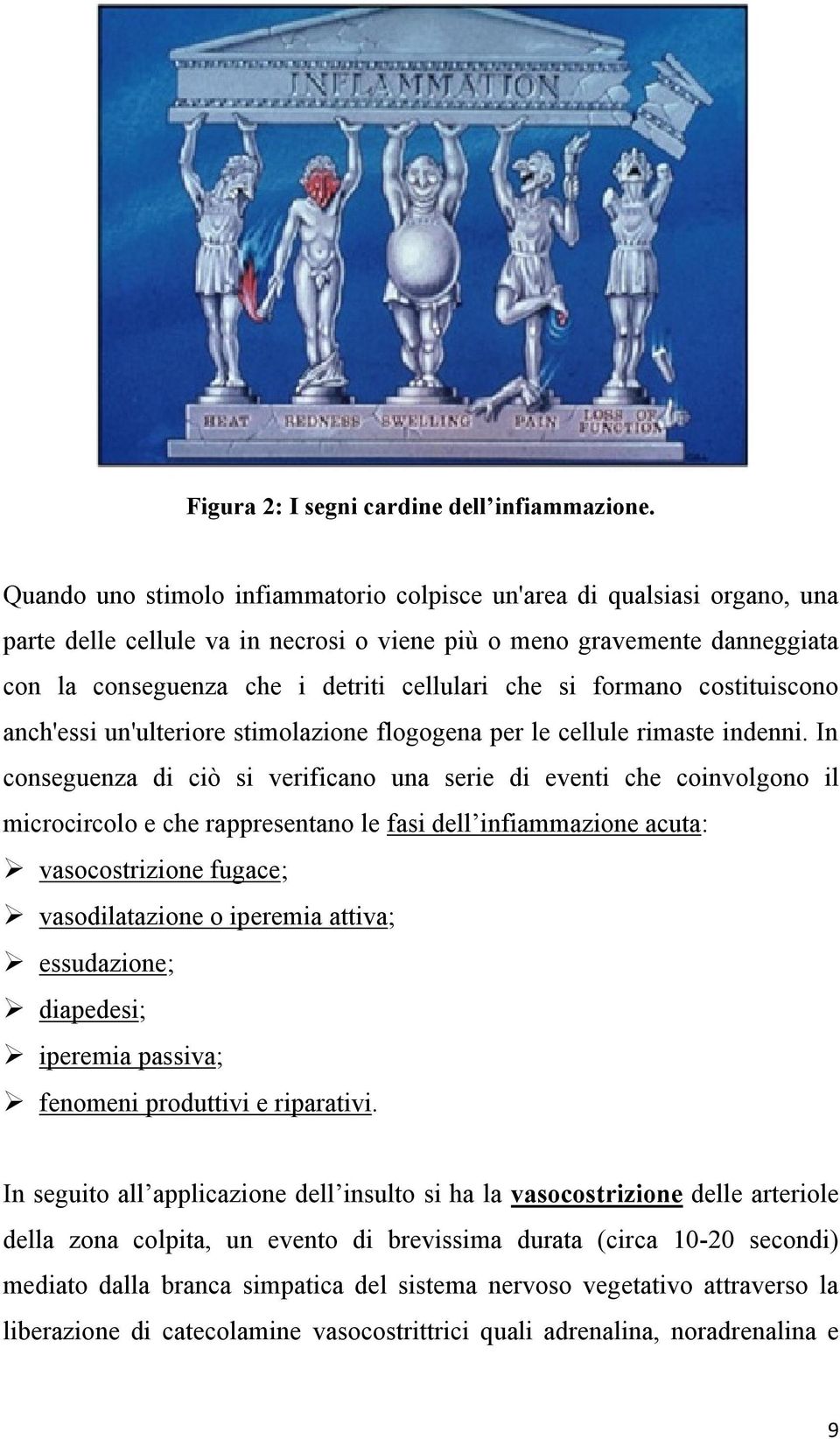 si formano costituiscono anch'essi un'ulteriore stimolazione flogogena per le cellule rimaste indenni.