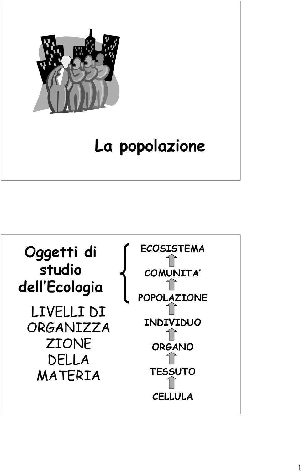 ZIONE DELLA MATERIA ECOSISTEMA