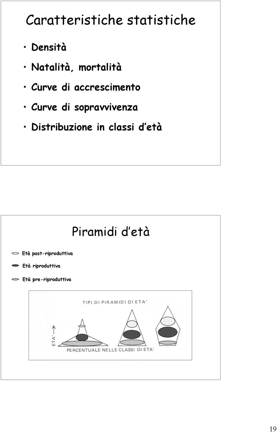 sopravvivenza Distribuzione in classi d età Piramidi