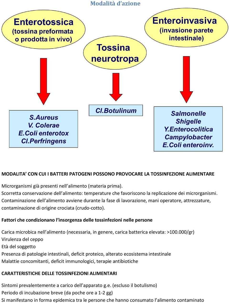 Contaminazione dell alimento avviene durante la fase di lavorazione, mani operatore, attrezzature, contaminazione di origine crociata (crudo-cotto).