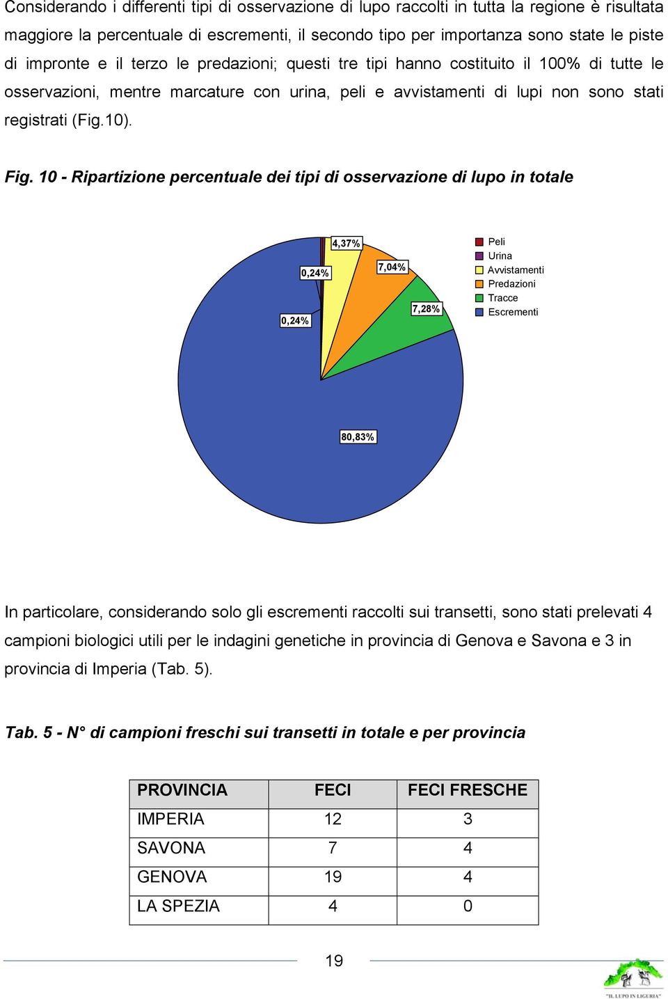 10 - Ripartizione percentuale dei tipi di osservazione di lupo in totale 0,24% 0,24% 4,37% 7,04% 7,28% Peli Urina Avvistamenti Predazioni Tracce Escrementi 80,83% In particolare, considerando solo