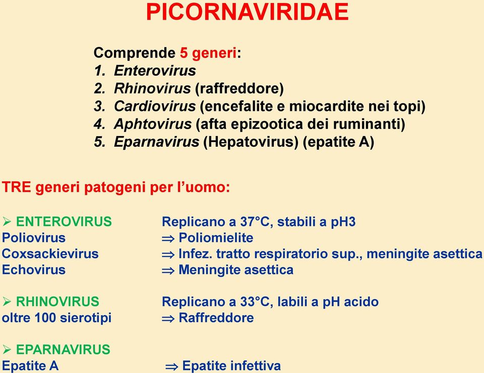 Eparnavirus (Hepatovirus) (epatite A) TRE generi patogeni per l uomo: ENTEROVIRUS Poliovirus Coxsackievirus Echovirus RHINOVIRUS
