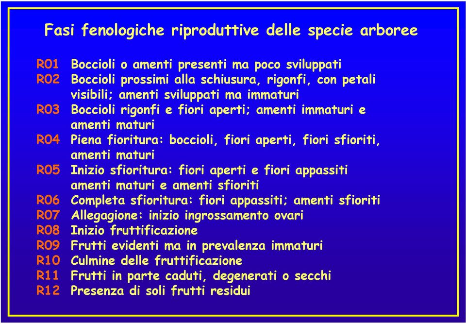 sfioritura: fiori aperti e fiori appassiti amenti maturi e amenti sfioriti R06 Completa sfioritura: fiori appassiti; amenti sfioriti R07 Allegagione: inizio ingrossamento ovari