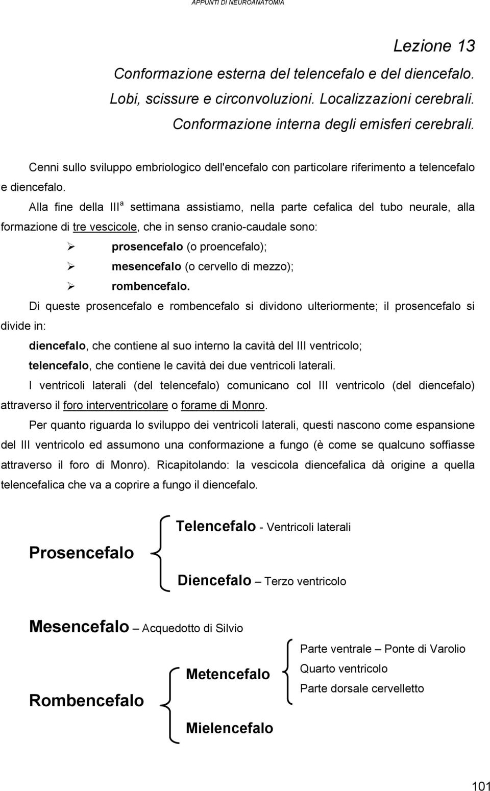 Alla fine della III a settimana assistiamo, nella parte cefalica del tubo neurale, alla formazione di tre vescicole, che in senso cranio-caudale sono: prosencefalo (o proencefalo); mesencefalo (o