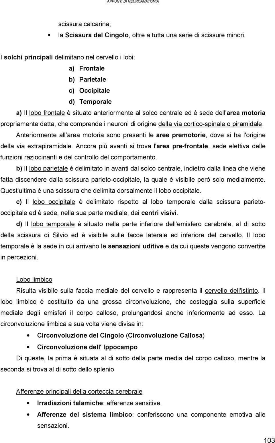 propriamente detta, che comprende i neuroni di origine della via cortico-spinale o piramidale.