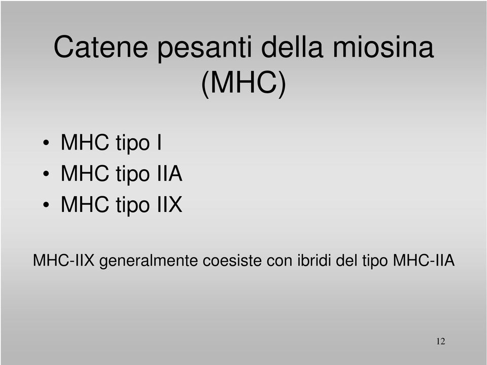 MHC tipo IIX MHC-IIX