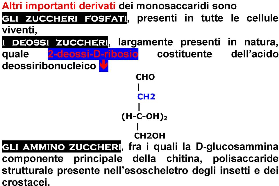 acido deossiribonucleico CHO CH2 (H-C-OH) 2 CH2OH gli ammino zuccheri, fra i quali la D-glucosammina