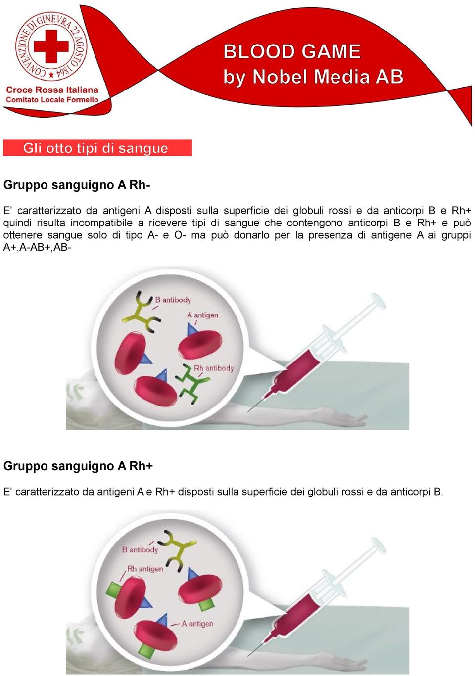 e può ottenere sangue solo di tipo A- e O- ma può donarlo per la presenza di antigene A ai gruppi A+,A-AB+,AB-