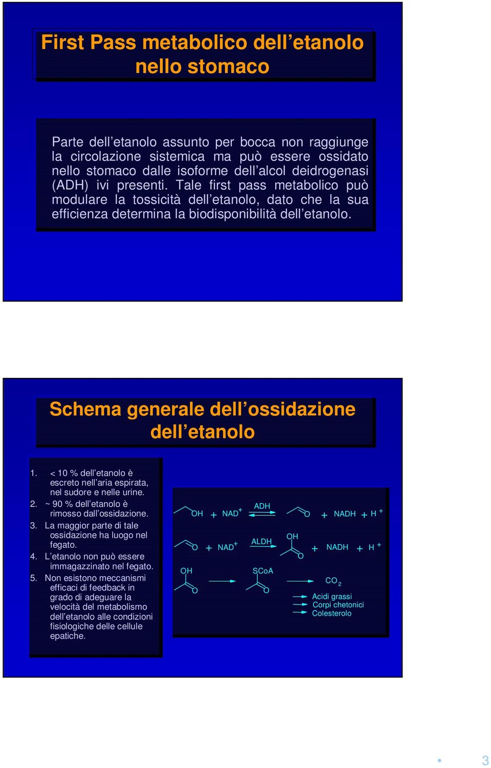 Schema generale dell ossidazione dell etanolo 1. 1. < < 10 10 % dell etanolo dell etanolo è è escreto escretonell aria nell ariaespirata, espirata, nel nel sudore sudoree e nelle nelleurine. 2.