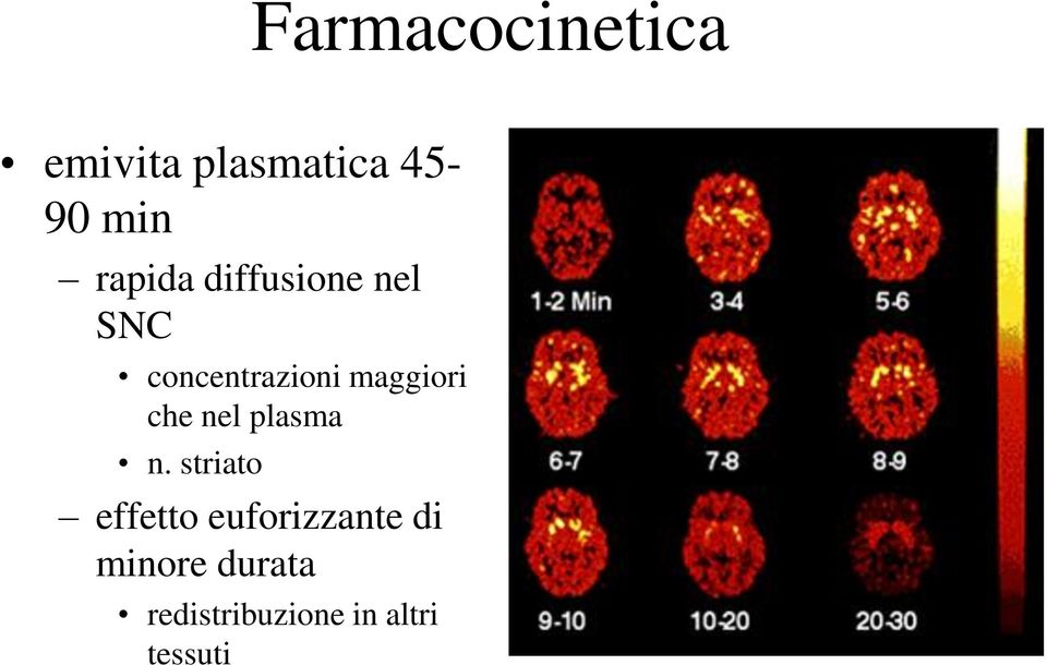 maggiori che nel plasma n.