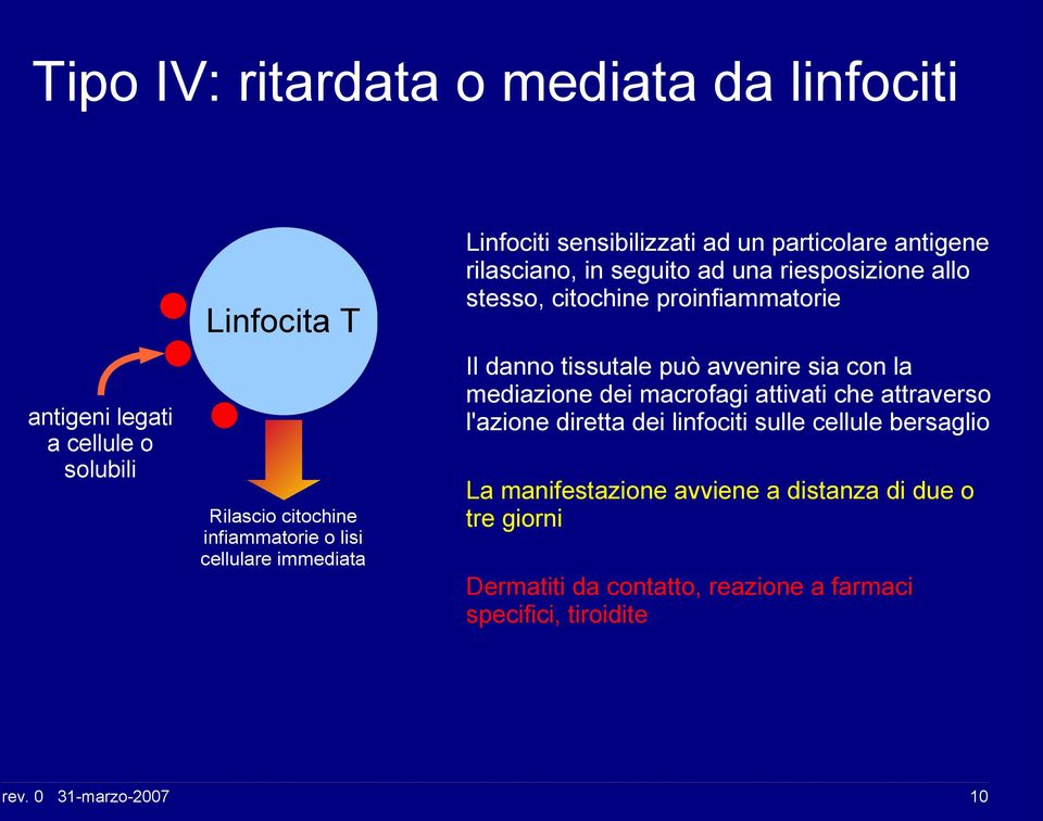 proinfiammatorie Il danno tissutale può avvenire sia con la mediazione dei macrofagi attivati che attraverso l'azione diretta dei