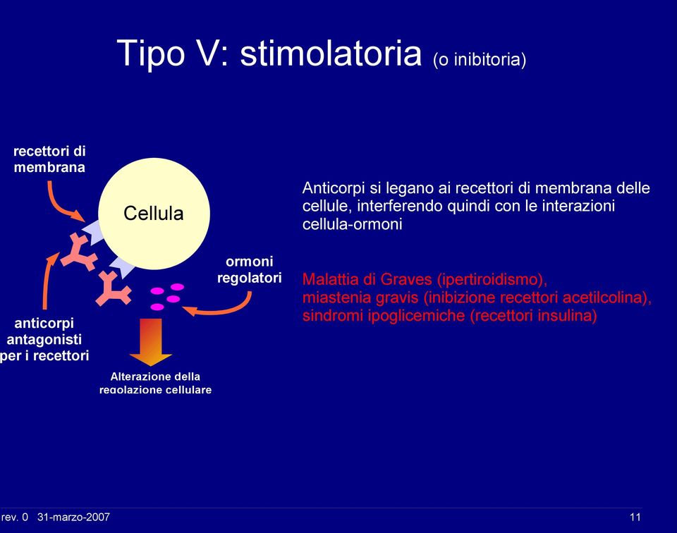 delle cellule, interferendo quindi con le interazioni cellula-ormoni Malattia di Graves