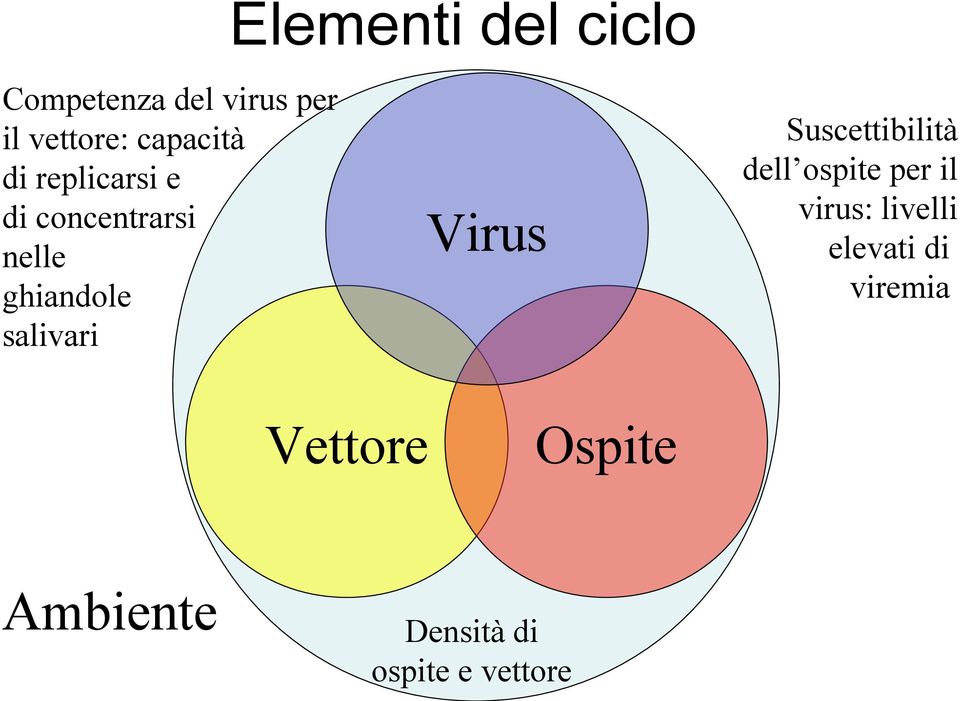 salivari Virus Vettore Ambiente Ospite Densità di ospite e