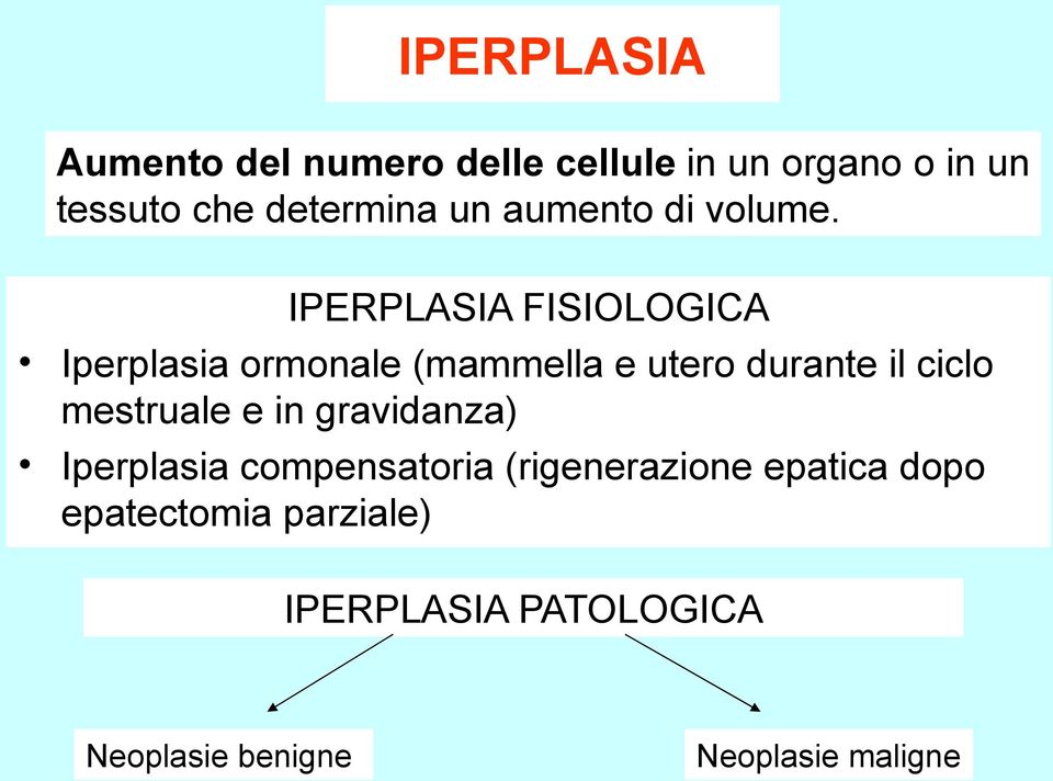 IPERPLASIA FISIOLOGICA Iperplasia ormonale (mammella e utero durante il ciclo
