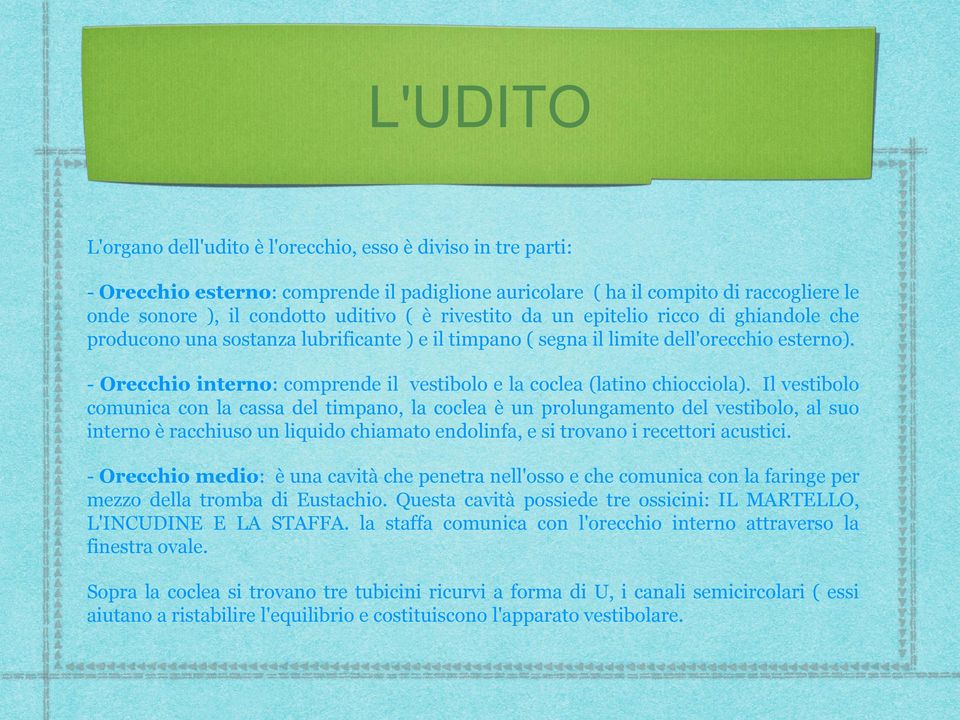 - Orecchio interno: comprende il vestibolo e la coclea (latino chiocciola).