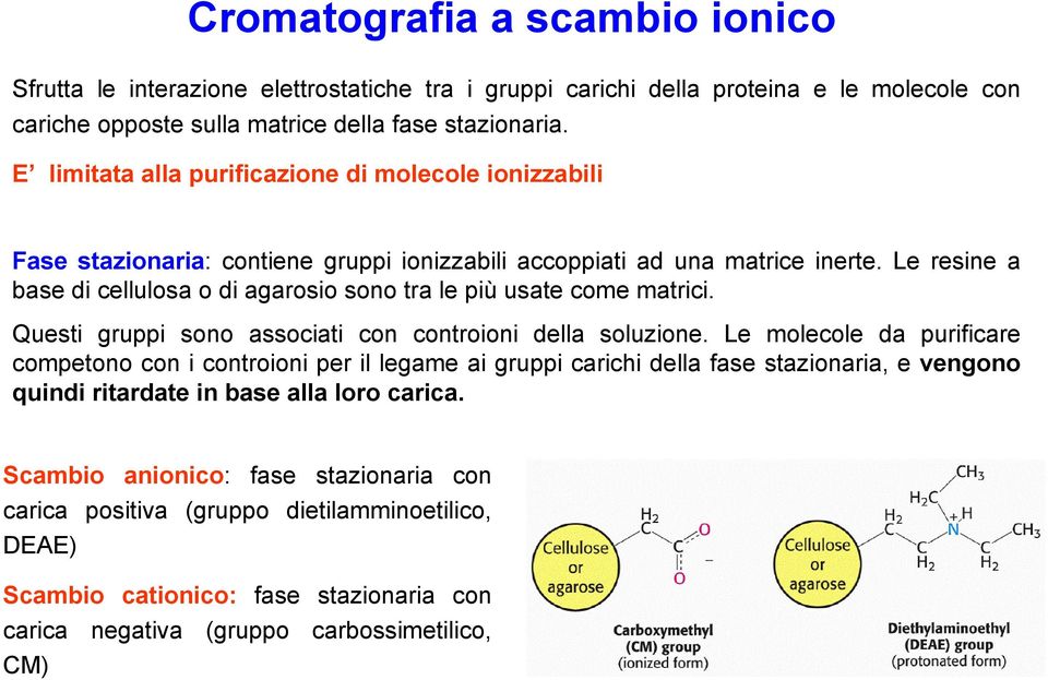 Le resine a base di cellulosa o di agarosio sono tra le più usate come matrici. Questi gruppi sono associati con controioni della soluzione.