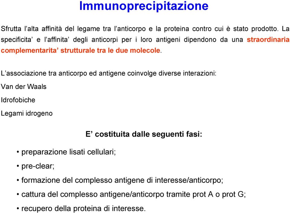 L associazione tra anticorpo ed antigene coinvolge diverse interazioni: Van der Waals Idrofobiche Legami idrogeno E costituita dalle seguenti fasi: