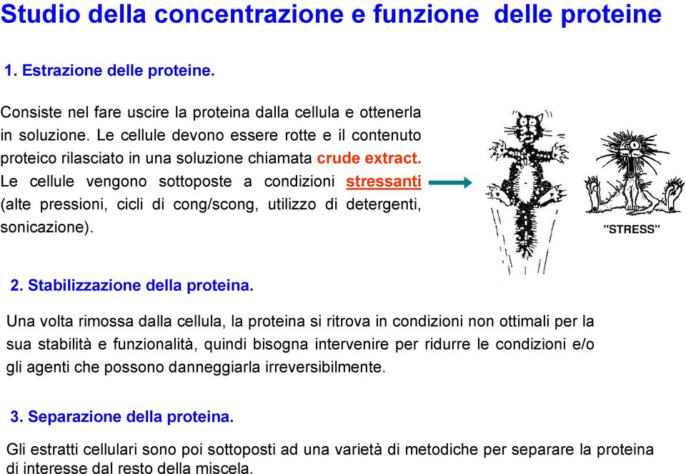 Le cellule vengono sottoposte a condizioni stressanti (alte pressioni, cicli di cong/scong, utilizzo di detergenti, sonicazione). 2. Stabilizzazione della proteina.