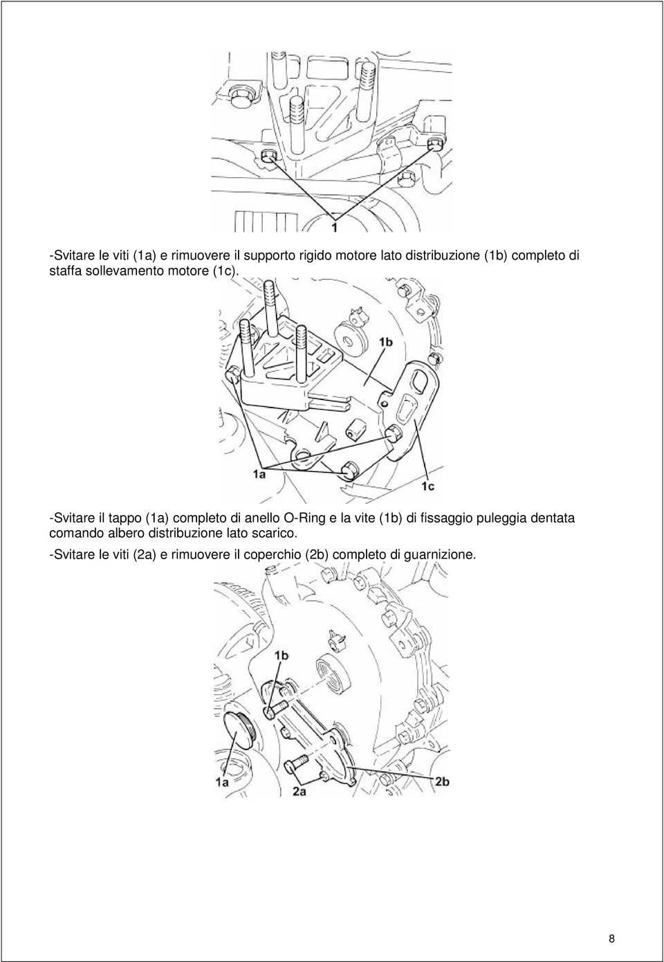 -Svitare il tappo (1a) completo di anello O-Ring e la vite (1b) di fissaggio puleggia