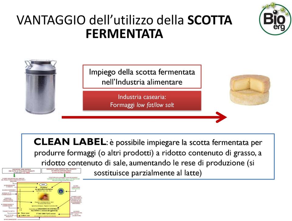 scotta fermentata per produrre formaggi (o altri prodotti) a ridotto contenuto di grasso, a