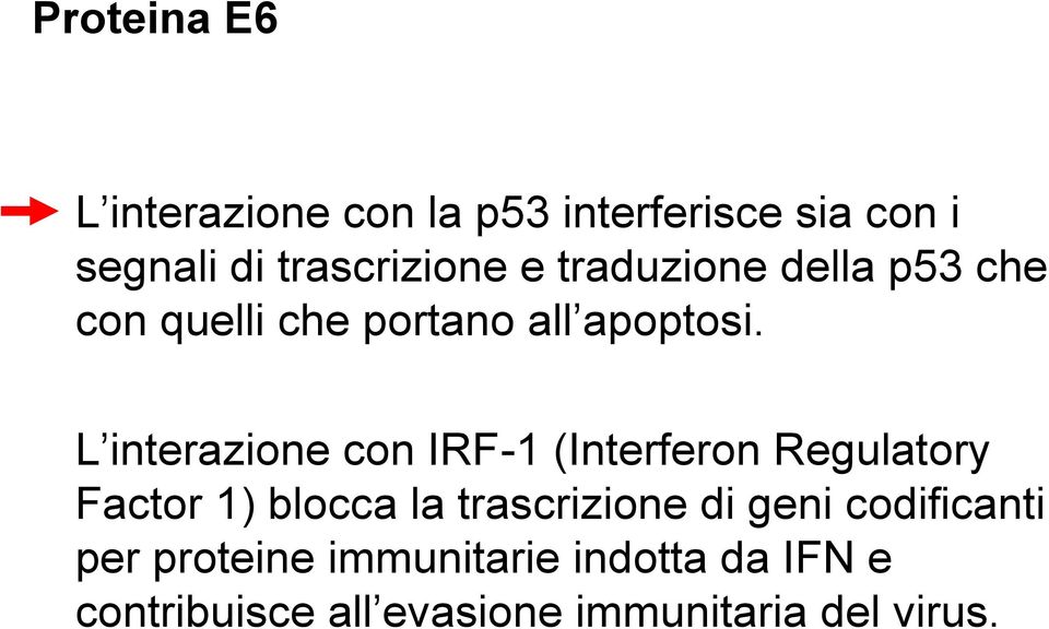 L interazione con IRF-1 (Interferon Regulatory Factor 1) blocca la trascrizione di