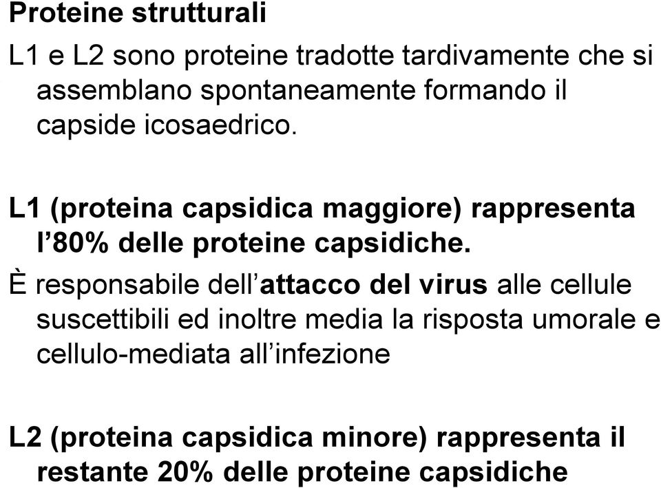 È responsabile dell attacco del virus alle cellule suscettibili ed inoltre media la risposta umorale e