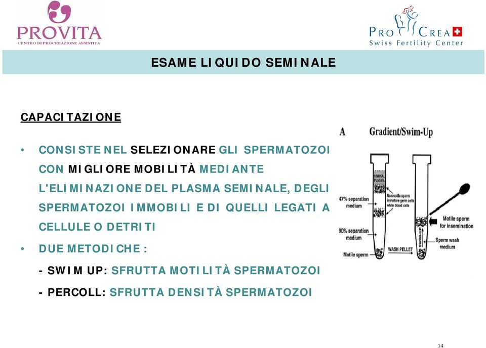 SEMINALE, DEGLI SPERMATOZOI IMMOBILI E DI QUELLI LEGATI A CELLULE O DETRITI