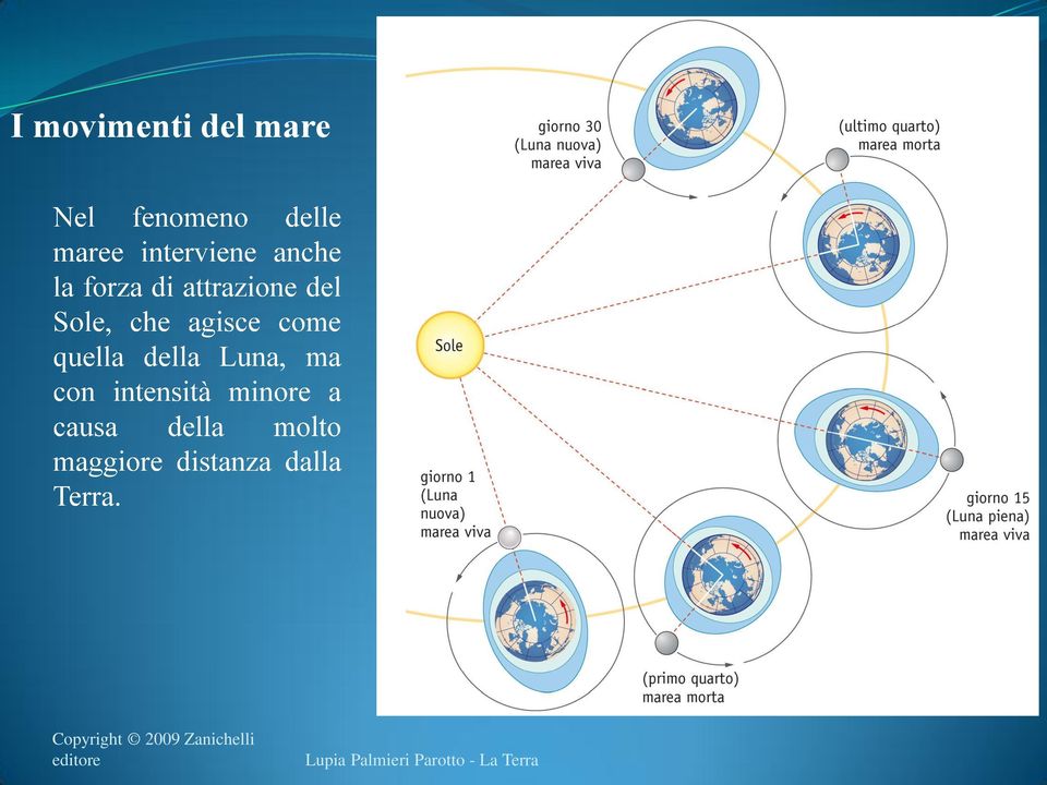 Zanichelli editore