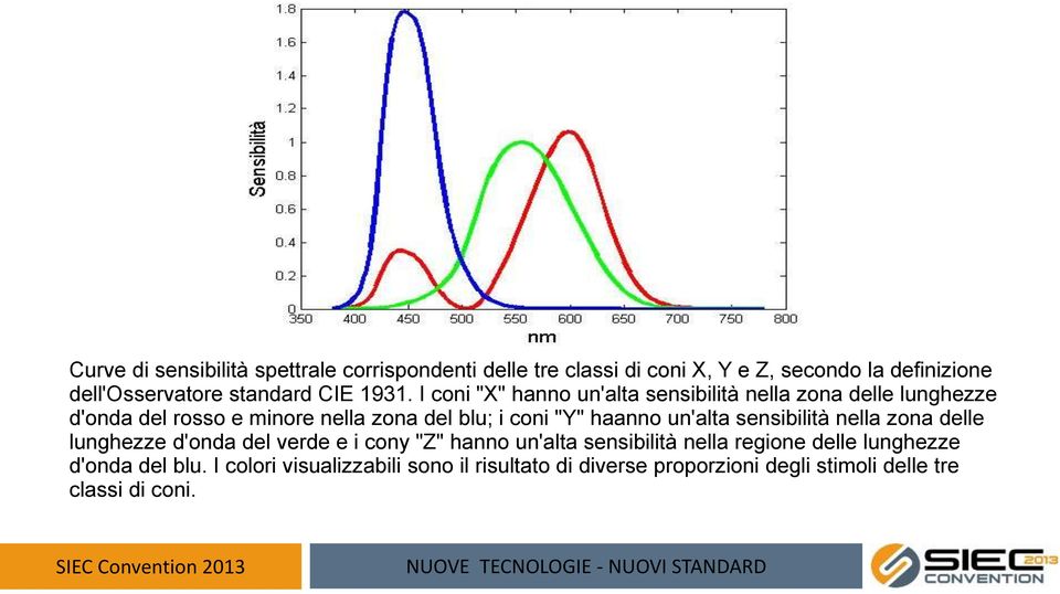 I coni "X" hanno un'alta sensibilità nella zona delle lunghezze d'onda del rosso e minore nella zona del blu; i coni "Y" haanno