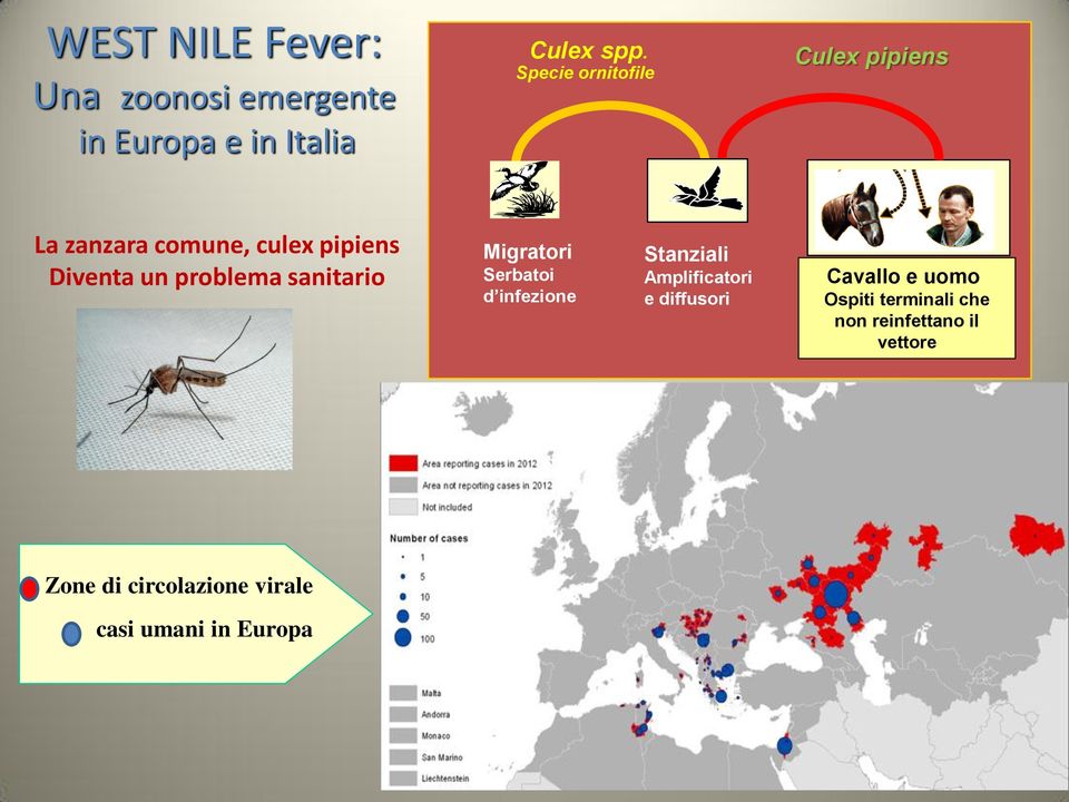 sanitario Migratori Serbatoi d infezione Stanziali Amplificatori e diffusori Cavallo e