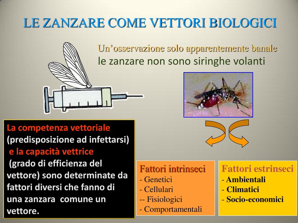 del vettore) sono determinate da fattori diversi che fanno di una zanzara comune un vettore.