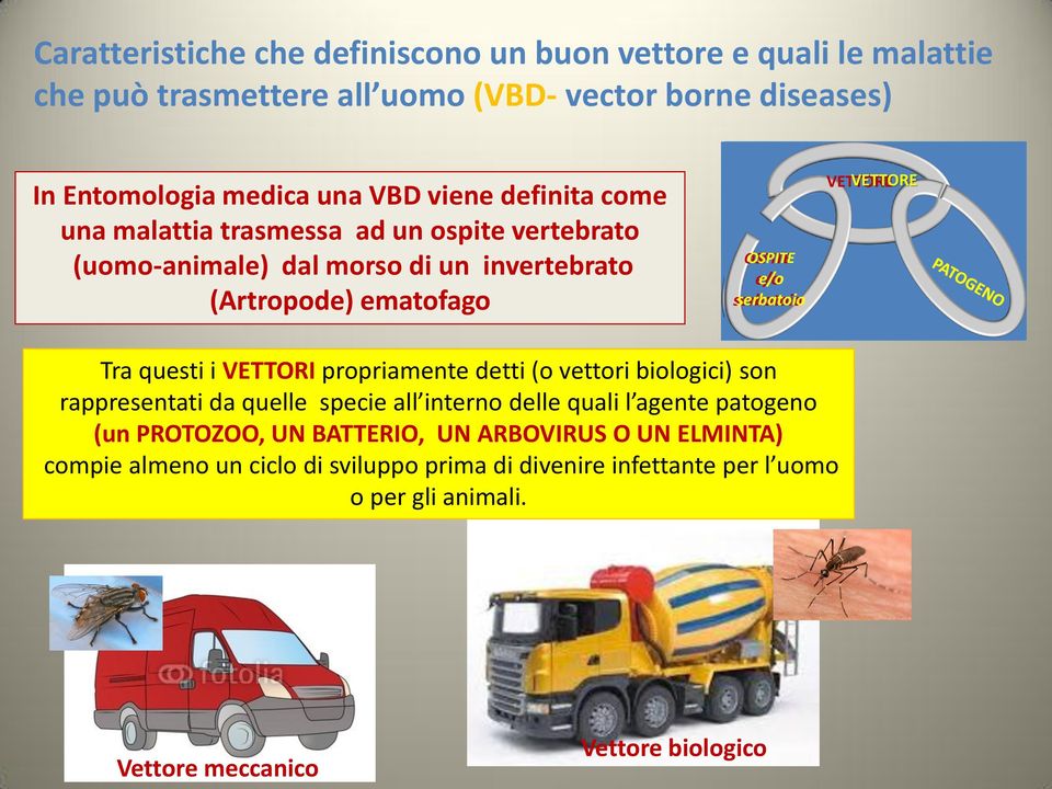 VETTORE Tra questi i VETTORI propriamente detti (o vettori biologici) son rappresentati da quelle specie all interno delle quali l agente patogeno (un PROTOZOO,