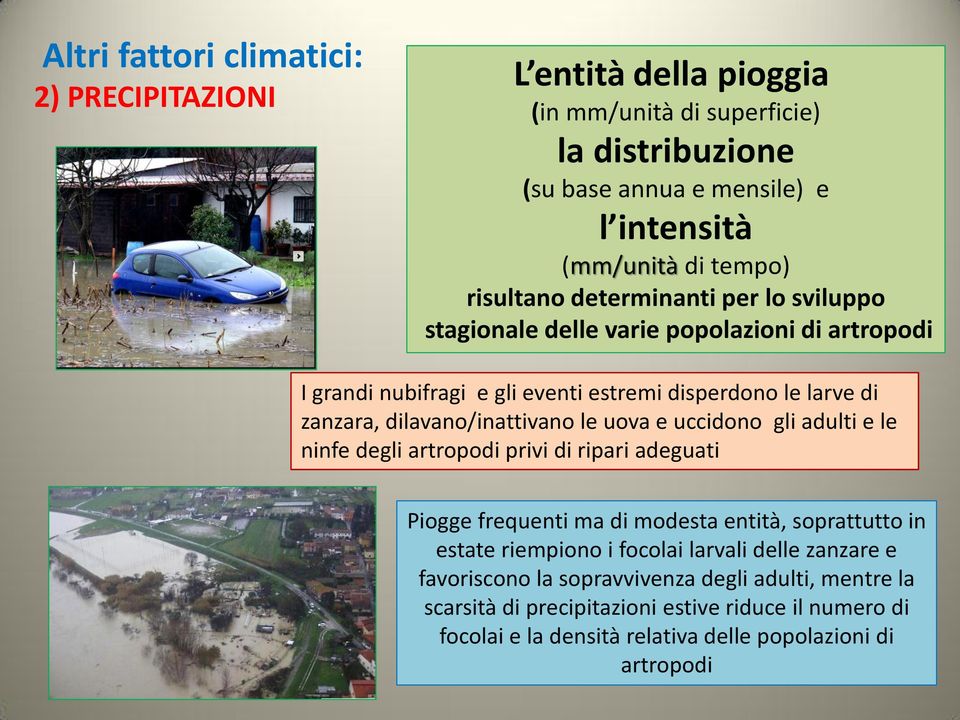 dilavano/inattivano le uova e uccidono gli adulti e le ninfe degli artropodi privi di ripari adeguati Piogge frequenti ma di modesta entità, soprattutto in estate riempiono i