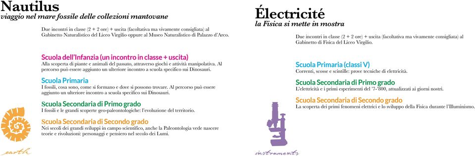 Al percorso può essere aggiunto un ulteriore incontro a scuola specifico sui Dinosauri. I fossili, cosa sono, come si formano e dove si possono trovare.