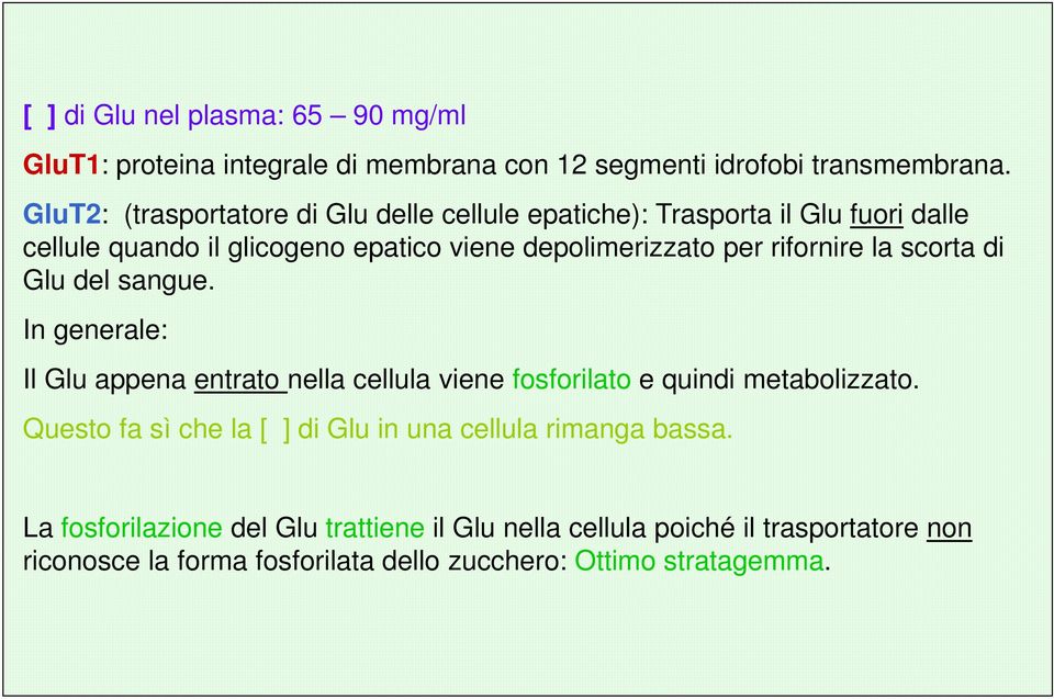 rifornire la scorta di Glu del sangue. In generale: Il Glu appena entrato nella cellula viene fosforilato e quindi metabolizzato.