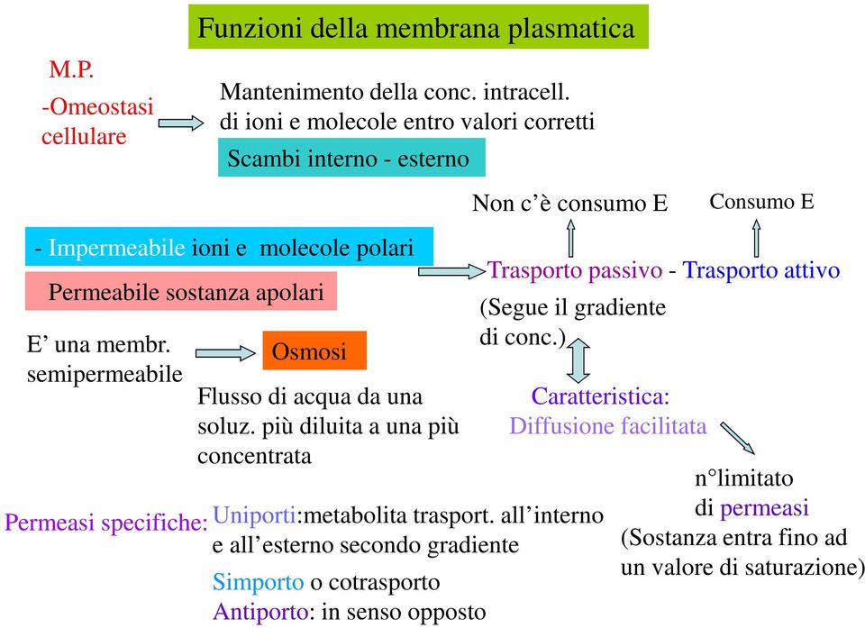 membr. semipermeabile Permeasi specifiche: Osmosi Flusso di acqua da una soluz.