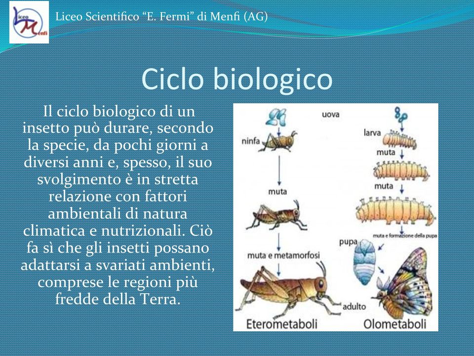 ambientalidinatura climaticaenutrizionali.