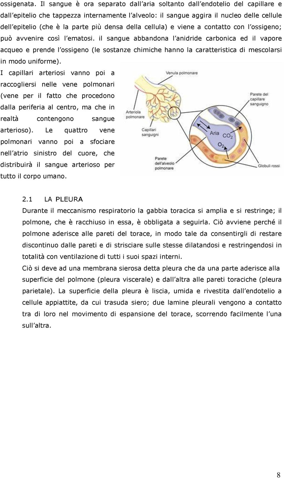 più densa della cellula) e viene a contatto con l ossigeno; può avvenire così l ematosi.