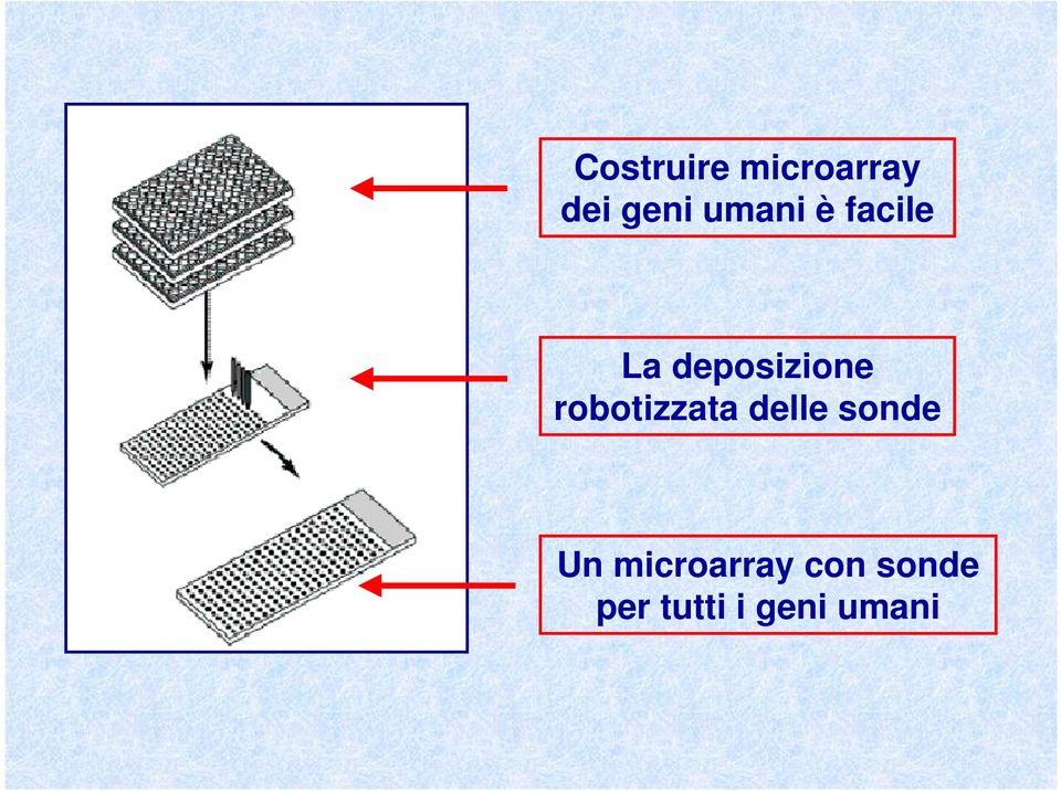 robotizzata delle sonde Un