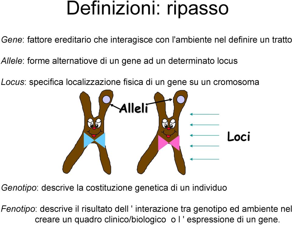 cromosoma Alleli Loci Genotipo: descrive la costituzione genetica di un individuo Fenotipo: descrive il