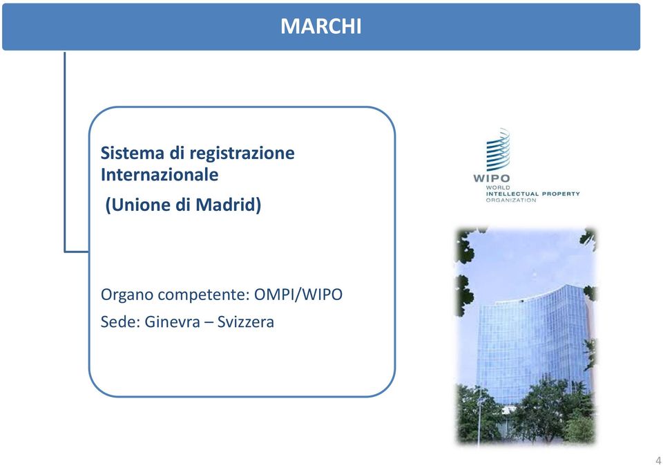 (Unione di Madrid) Organo