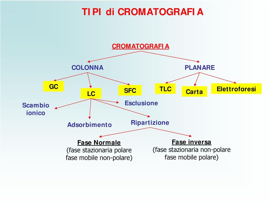 Elettroforesi Fase Normale (fase stazionaria polare fase mobile