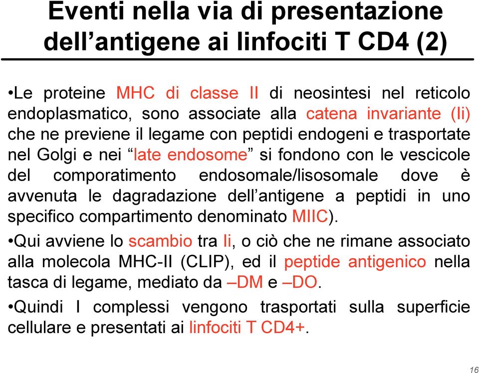 dove è avvenuta le dagradazione dell antigene a peptidi in uno specifico compartimento denominato MIIC).