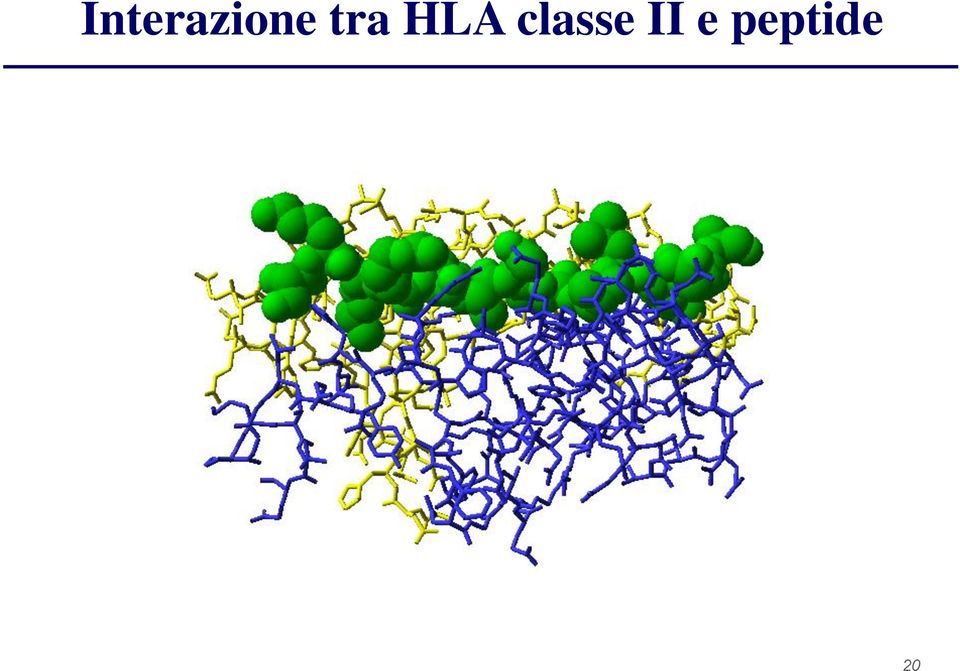peptide P1 P4 P6