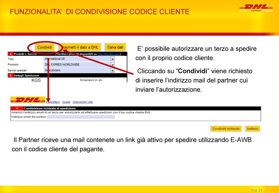 Cliccando su Condividi viene richiesto di inserire l indirizzo mail del partner cui