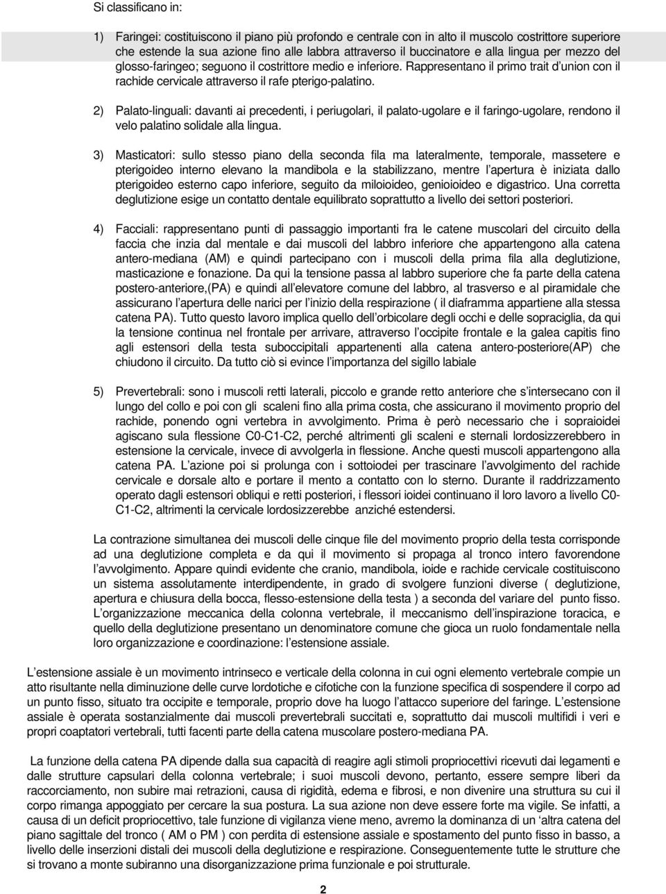 2) Palato-linguali: davanti ai precedenti, i periugolari, il palato-ugolare e il faringo-ugolare, rendono il velo palatino solidale alla lingua.