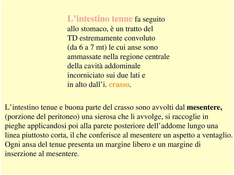 L intestino tenue e buona parte del crasso sono avvolti dal mesentere, (porzione del peritoneo) una sierosa che li avvolge, si raccoglie in pieghe