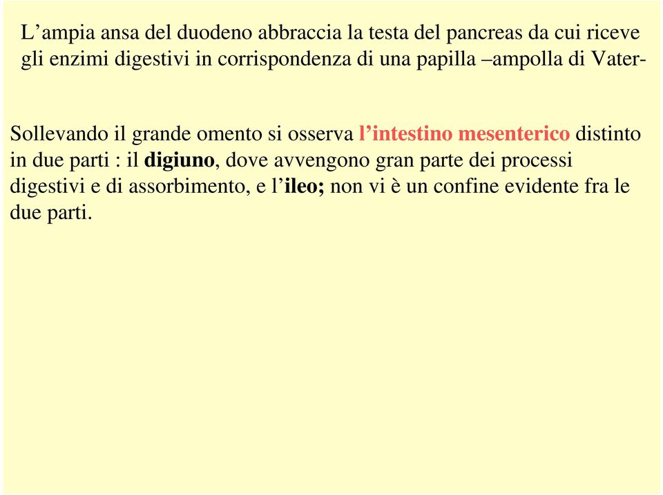 intestino mesenterico distinto in due parti : il digiuno, dove avvengono gran parte dei